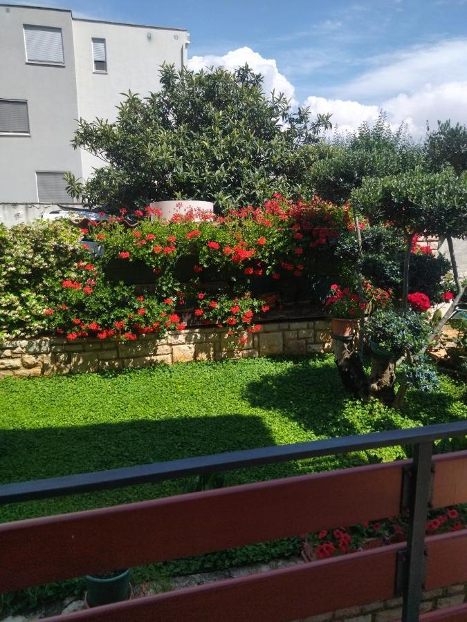 Zelena Oaza Apartment Novigrad  Exterior photo